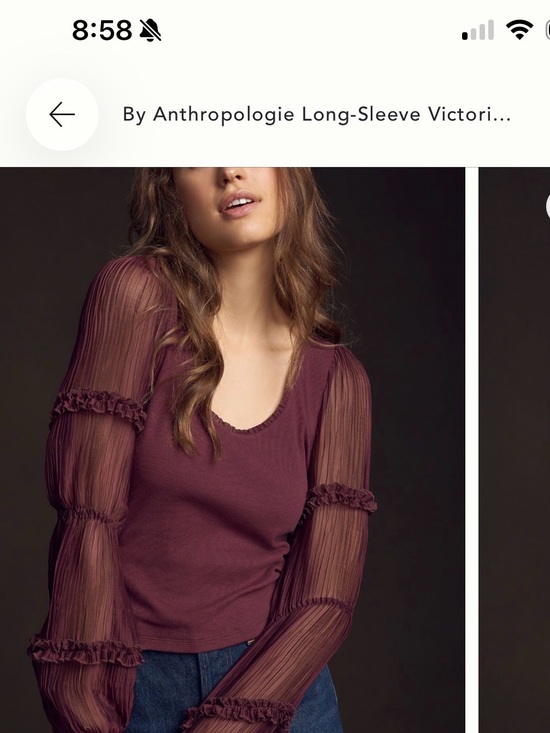 Anthropologie Tops - Anthropologie Plum Long-Sleeve Ruffle Mesh Top Sz XS